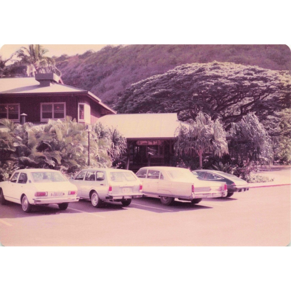 Vintage 1970s Hawaii Oahu Volcanic Hill Garden Peafowl Photo Lot of 6 - Picture 6 of 6